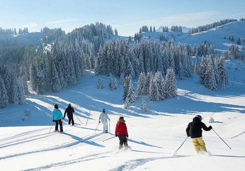 Les Gets Off Piste Les Gets